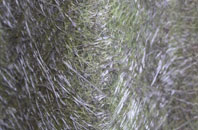 Steeple Gidding fibreglass roof work